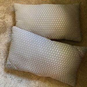 2 Target Throw Pillows